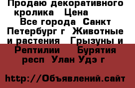 Продаю декоративного кролика › Цена ­ 500 - Все города, Санкт-Петербург г. Животные и растения » Грызуны и Рептилии   . Бурятия респ.,Улан-Удэ г.